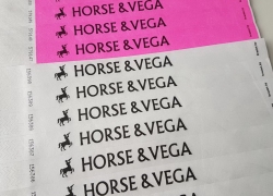 horse&vega